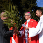 02.04.2023., Pula - Blagoslovom palmi i maslinovih grancica, procesijom gradom, te misnim slavljem u katedrali, u Puli je obiljezen blagdan Cvjetnice