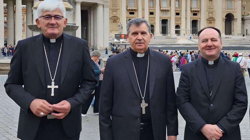 Željko Majić, Tomo Vukšić, Petar Palić